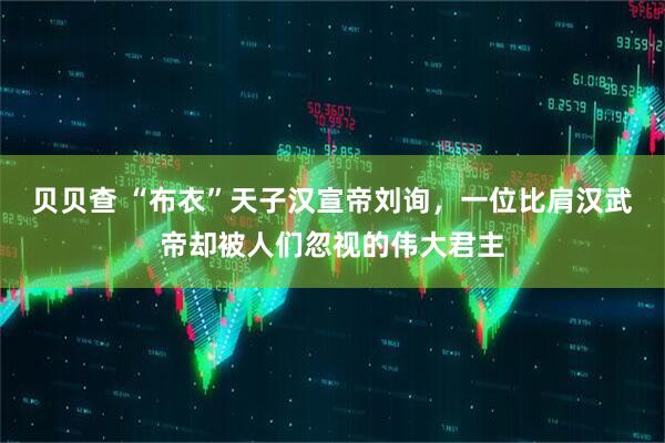 贝贝查 “布衣”天子汉宣帝刘询，一位比肩汉武帝却被人们忽视的伟大君主