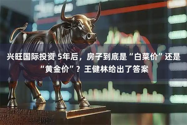 兴旺国际投资 5年后，房子到底是“白菜价”还是“黄金价”？王健林给出了答案