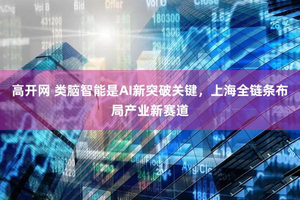 高开网 类脑智能是AI新突破关键，上海全链条布局产业新赛道