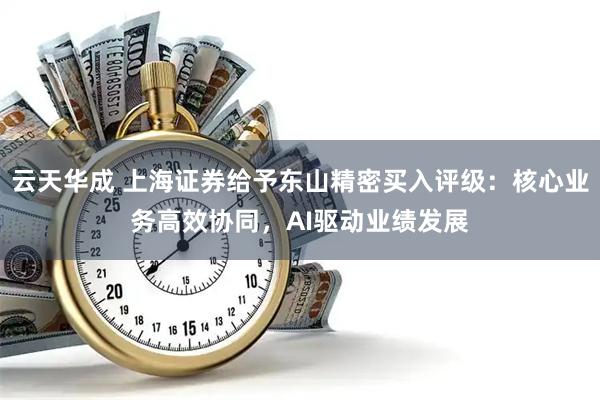 云天华成 上海证券给予东山精密买入评级：核心业务高效协同，AI驱动业绩发展