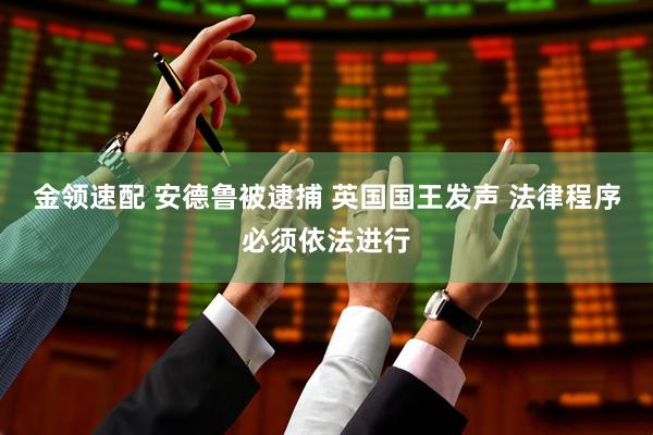 金领速配 安德鲁被逮捕 英国国王发声 法律程序必须依法进行
