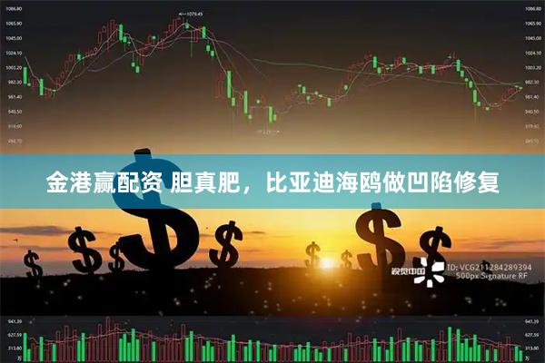 金港赢配资 胆真肥，比亚迪海鸥做凹陷修复