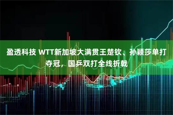 盈透科技 WTT新加坡大满贯王楚钦、孙颖莎单打夺冠，国乒双打全线折戟