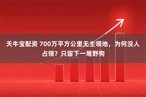 天牛宝配资 700万平方公里无主领地，为何没人占领？只留下一堆野狗