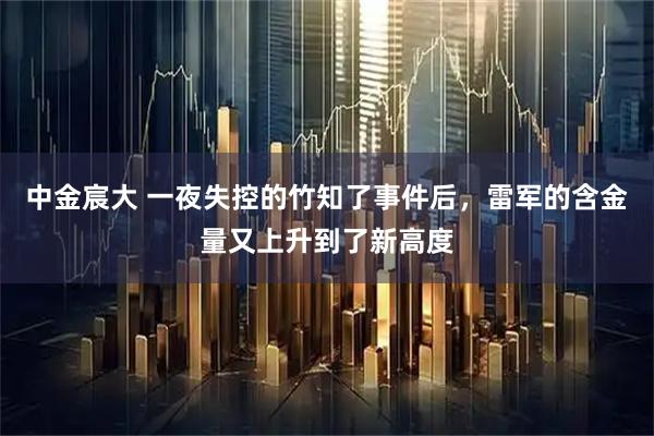 中金宸大 一夜失控的竹知了事件后，雷军的含金量又上升到了新高度